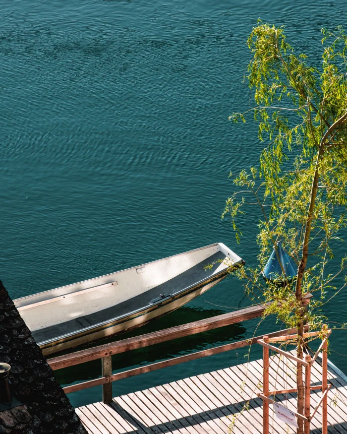 46 wsp shooting wasser mediation