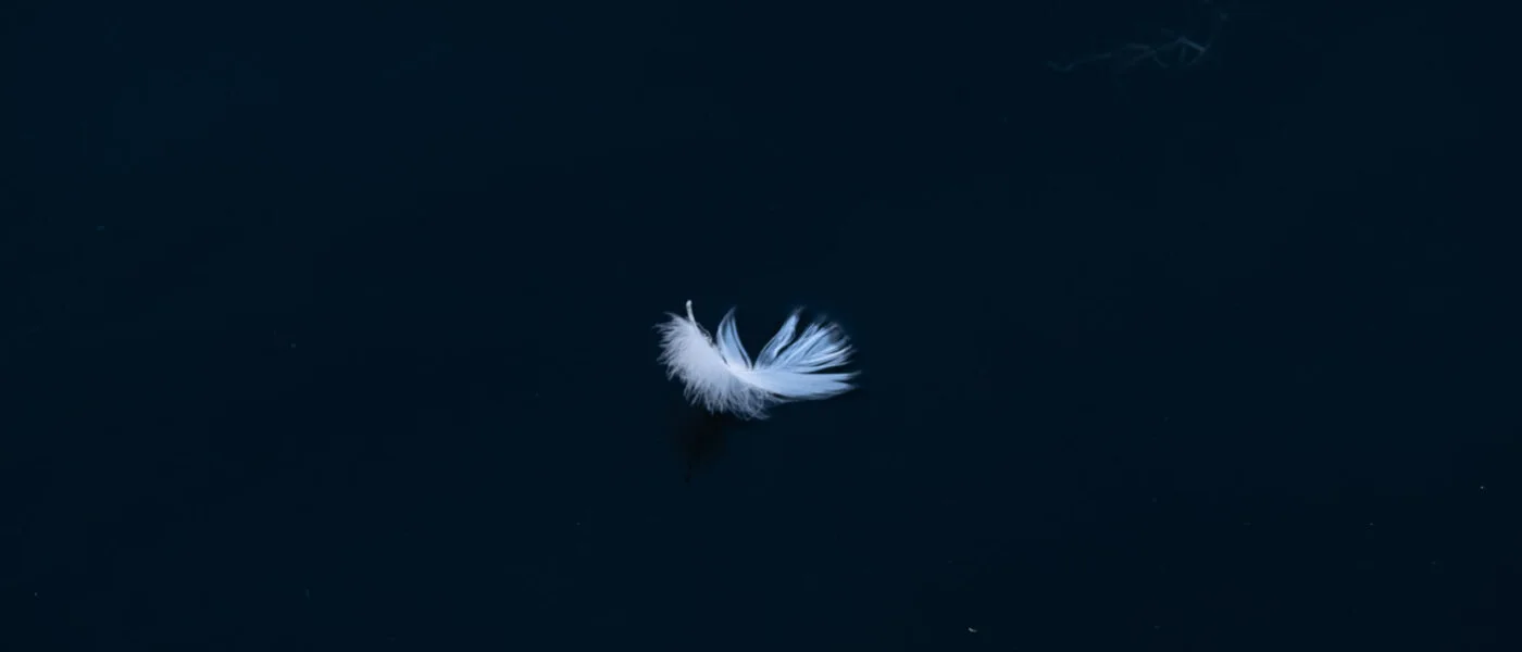 Beratung im Unternehmenssteuerrecht